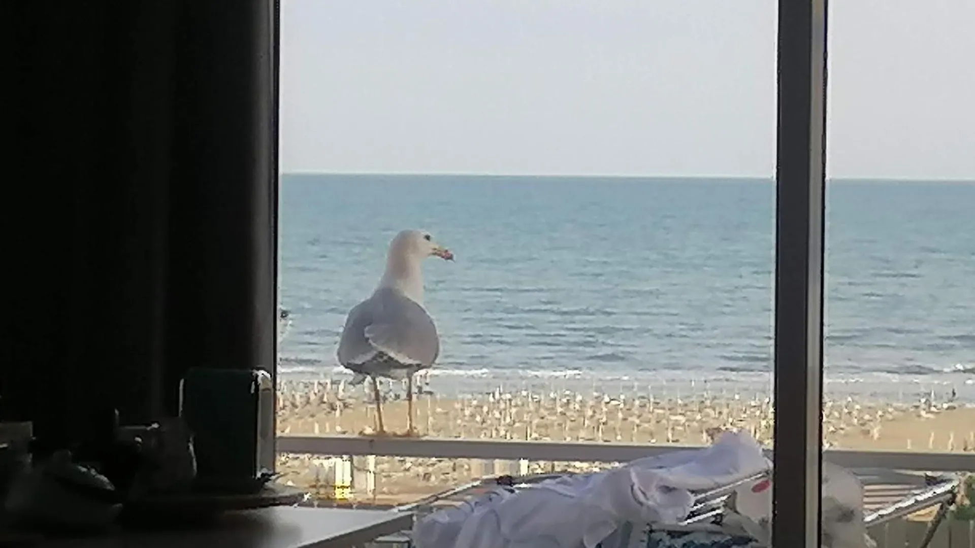 Villa Silente Bibione Italia